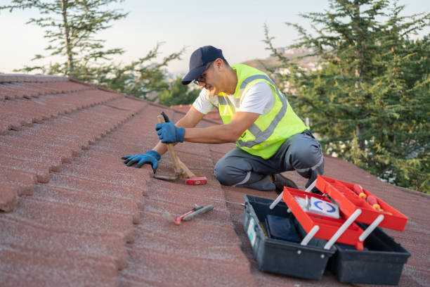 Best Storm Damage Roof Repair  in Alvin, TX