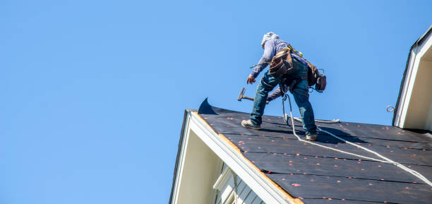 Best New Roof Installation  in Alvin, TX